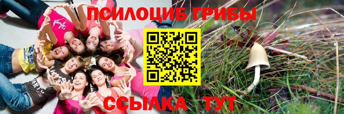 Галлюциногенные грибы MAGIC MUSHROOMS  Псилоцибиновые грибы Cubensis  Вход с VPN  Выкса 