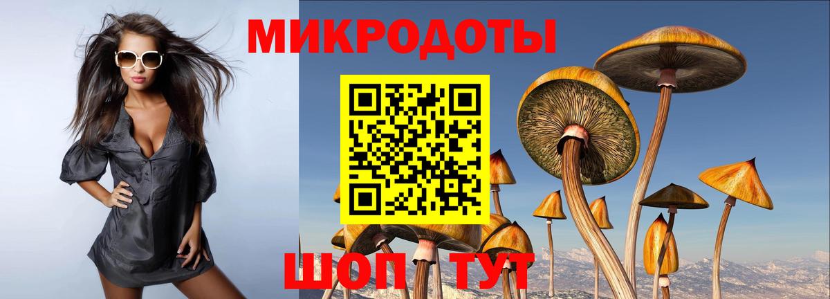 Псилоцибиновые грибы Cubensis Выкса